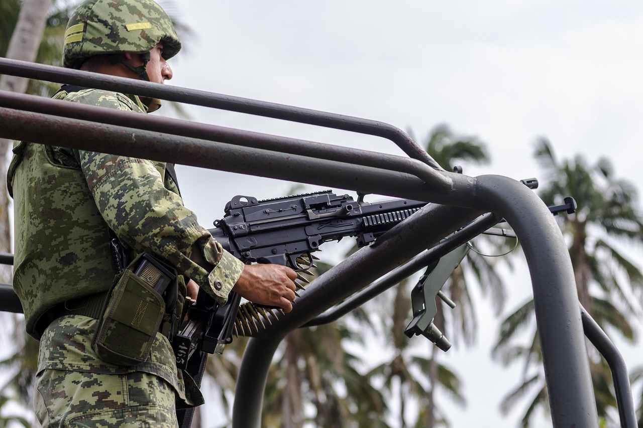 聚名网实名账号：有没有免费代理项目的平台