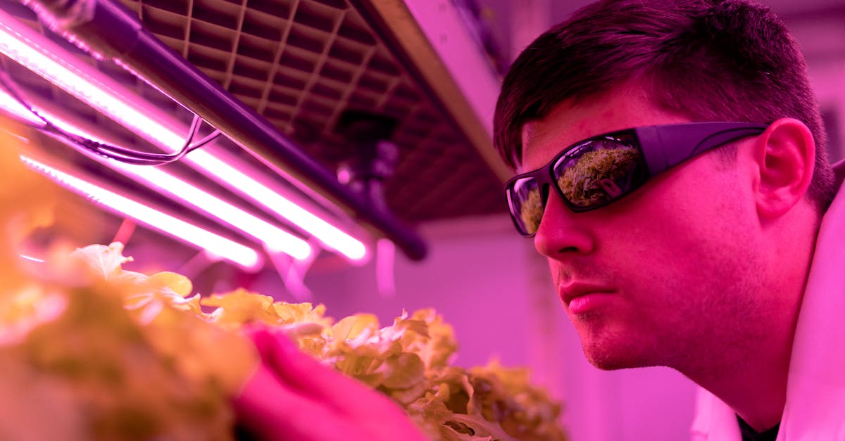 tcp攻击|蜜源苹果app详情下载教程