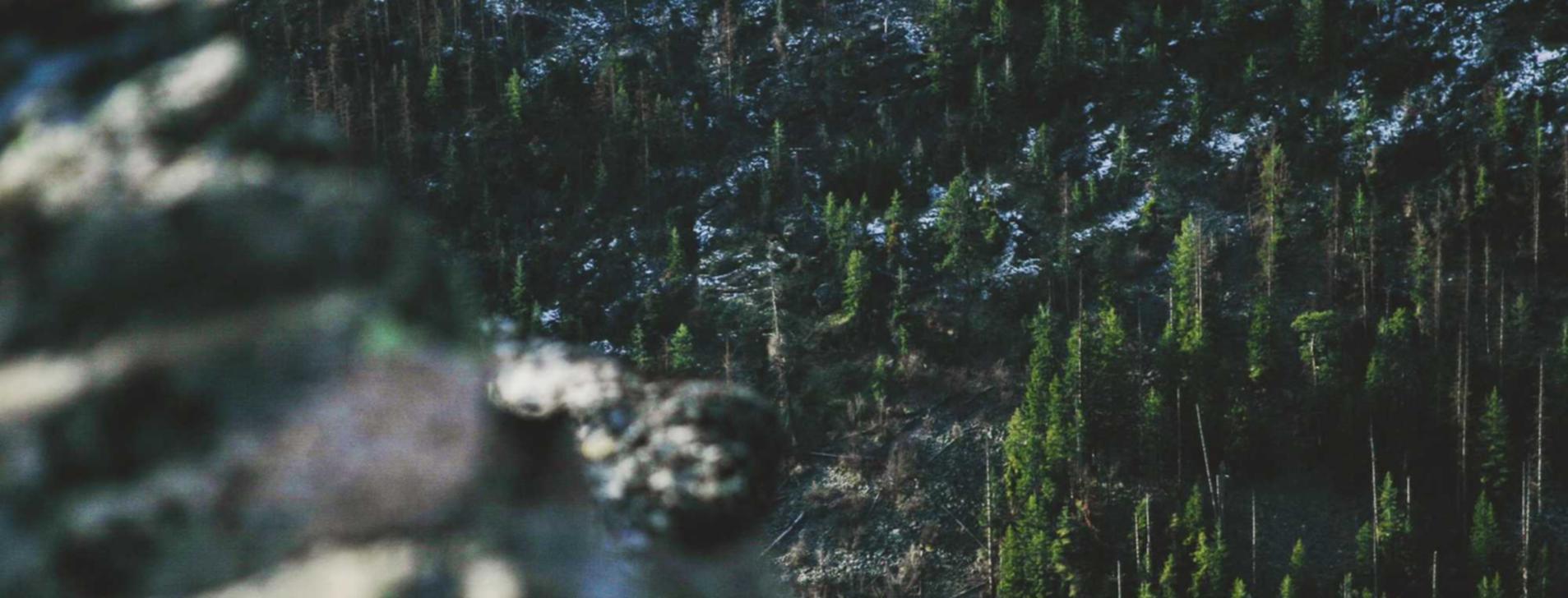 腾讯云实名账号:谷歌个人开户怎么注册账号