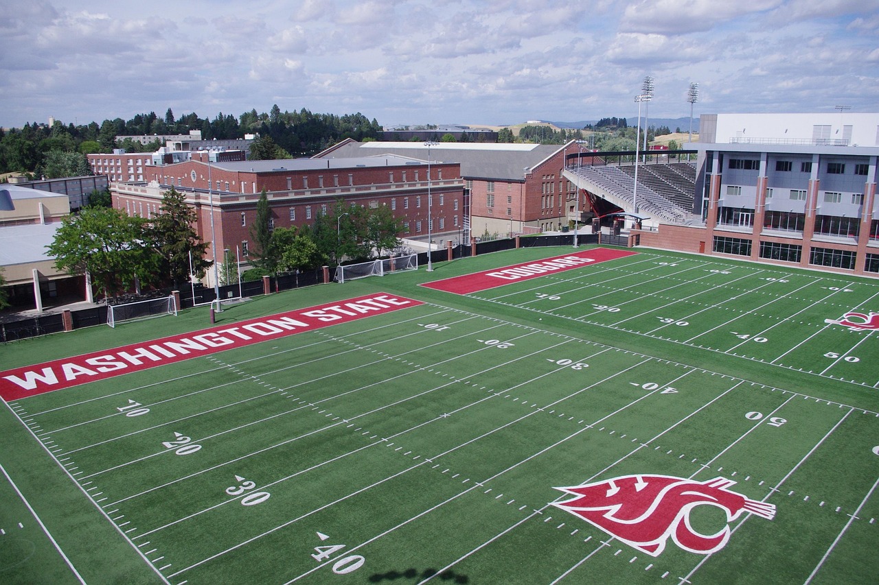 电销电话手机卡：购买软件平台应考虑因数