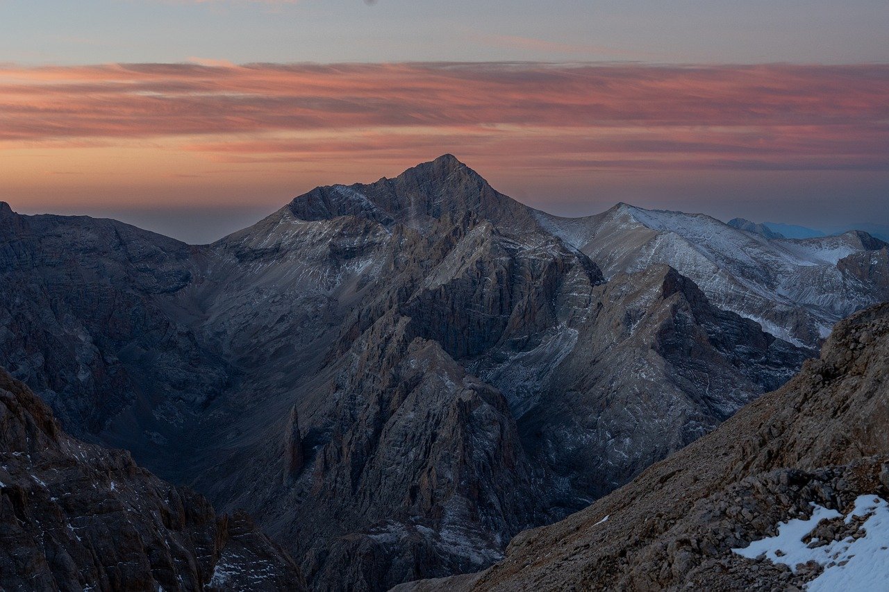 炸房器|阜南宠物购买平台
