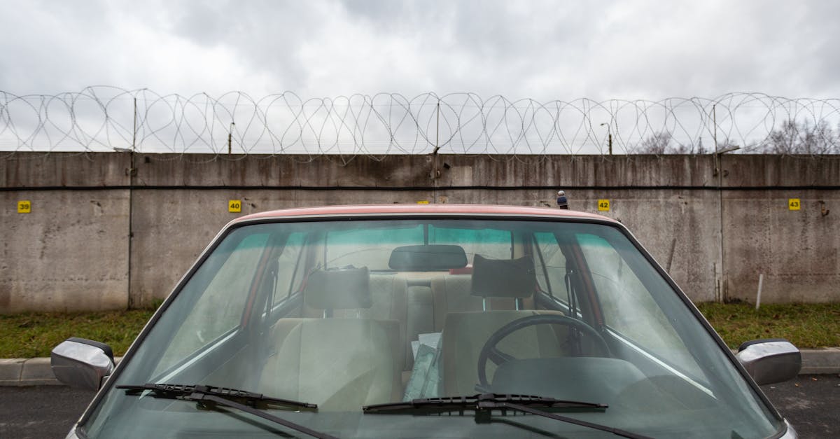 青牛软件实名账号：在哪详情下载教程乡亲app