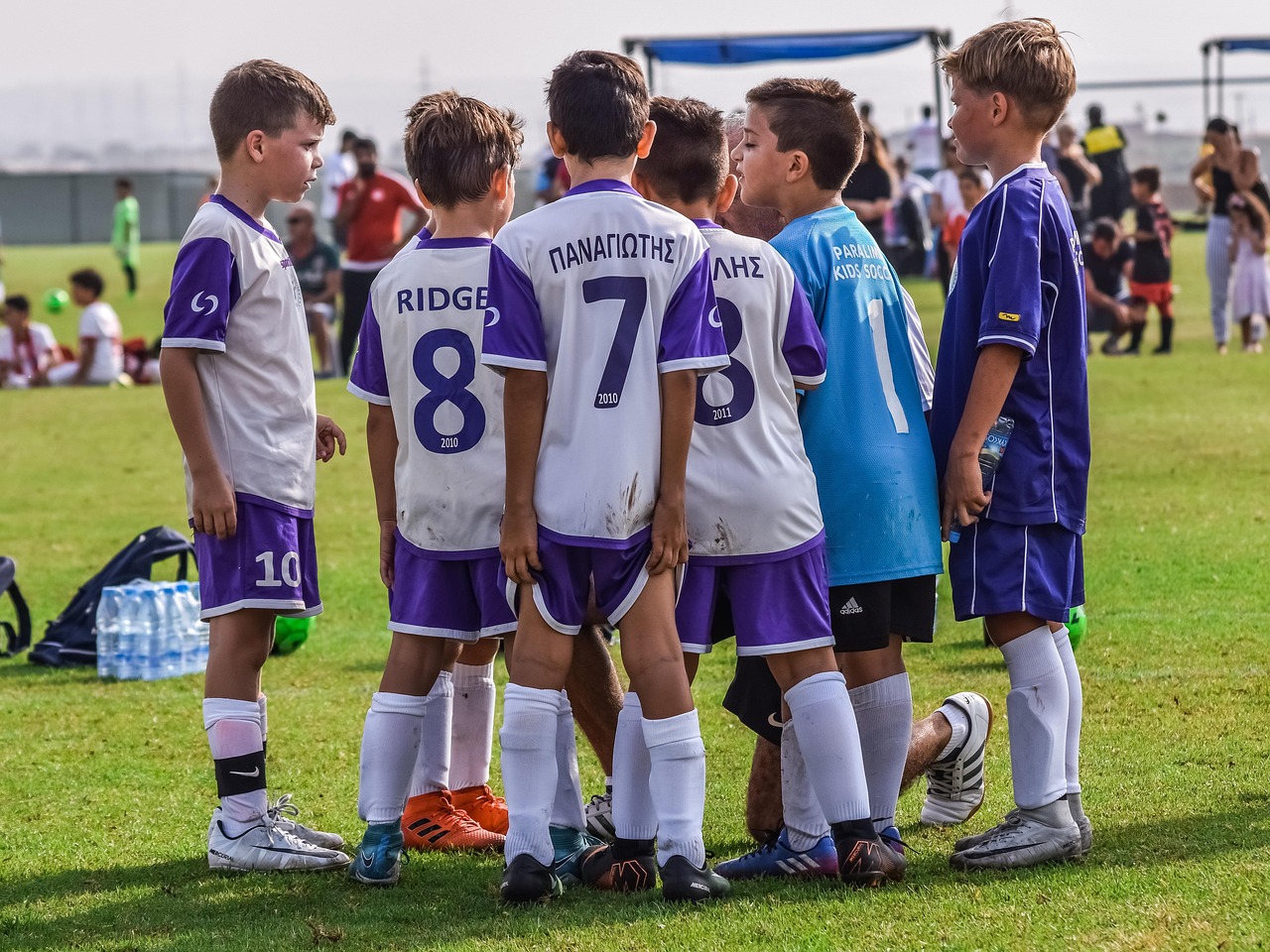 在线DDOS压力测试网页端|海王赚app 详情下载教程