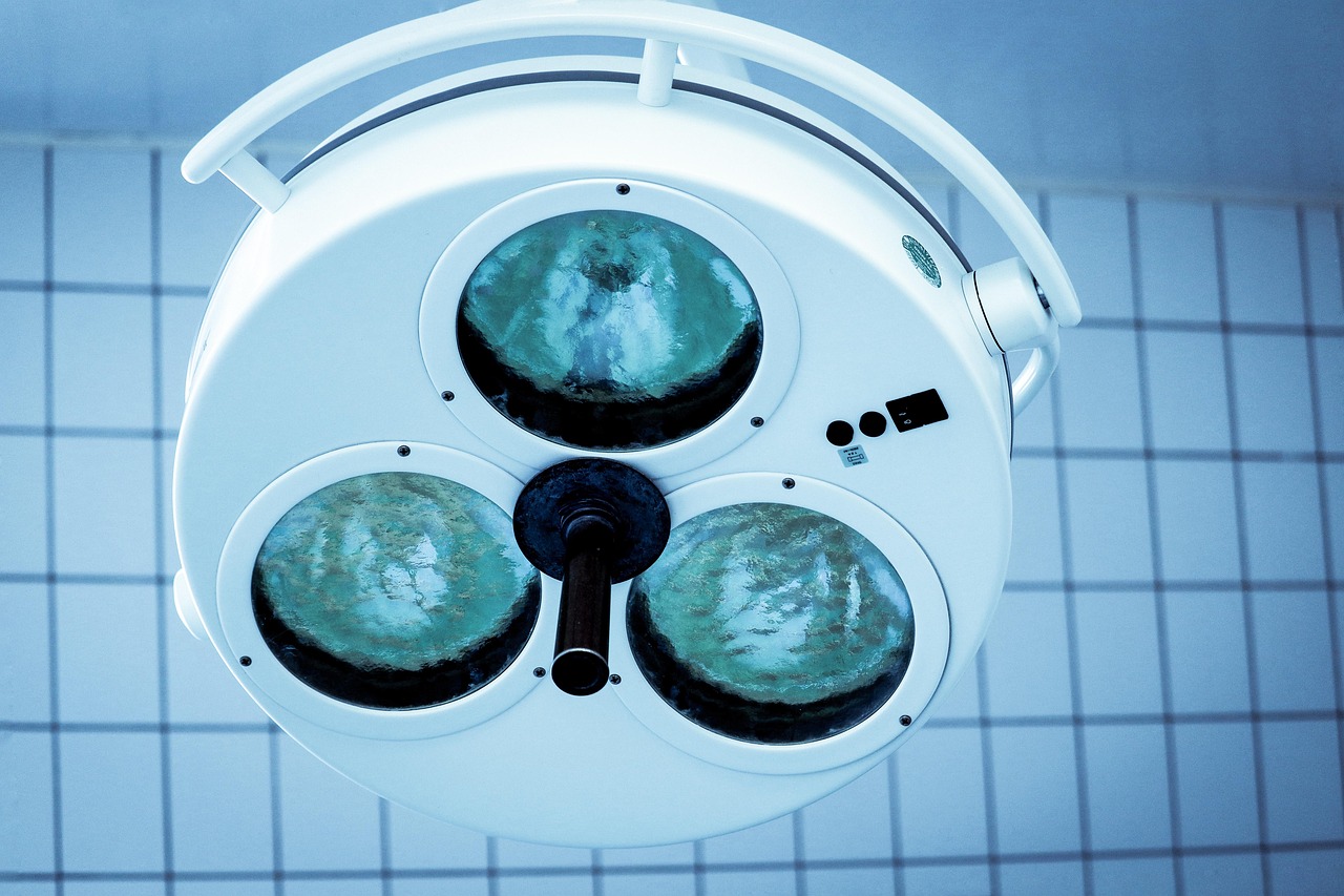 菲娱国际猫粮购买平台