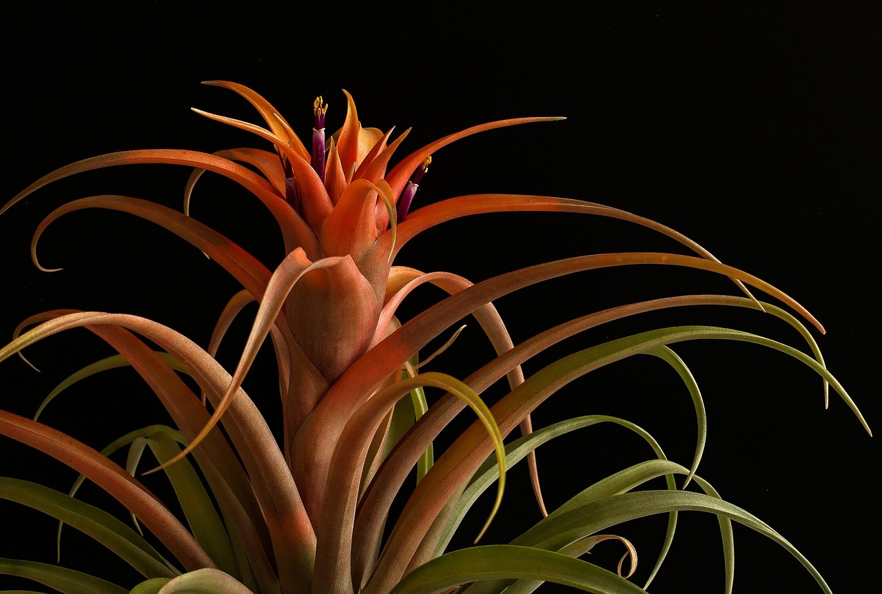 恩博宿迁 工商注册代理