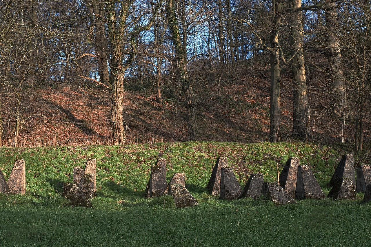 沐鸣2如何详情下载教程外国的app