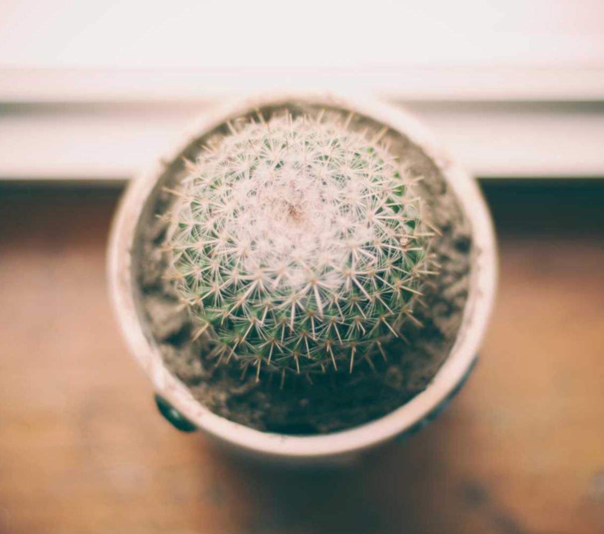 在线DDOS压力测试网页端|什么账号需要手机号码注册